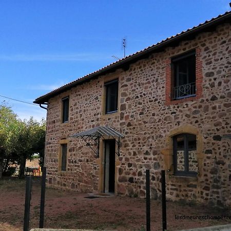 Villa Les demeures champêtres à Jarnosse Extérieur photo